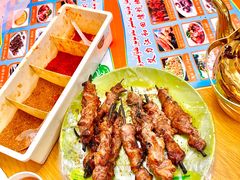 红柳烤肉-艾力江和田馕坑烤肉店