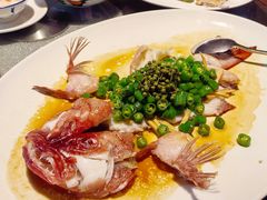 青花椒蒸东星斑鱼骨-猪肉婆私房菜(容桂总店)