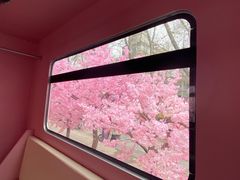 -金茂览秀城