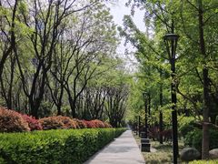 -唐城墙遗址公园