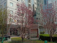 -西门子中国有限公司(阜通东大街店)