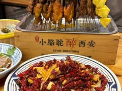 -福苗小骆驼烧烤(莲湖路店)