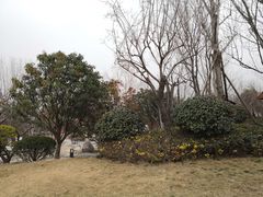 -思念果岭悦温泉