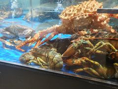-盒马鲜生(双清路店)