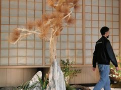 -蜜桃餐厅·伴山(湖滨商业街店)