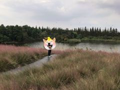 -杭州湾海上花田景区