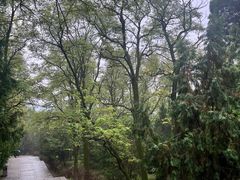 -黄帝陵