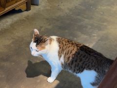 -水先生寧波菜(天一店)