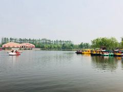 -上海长兴岛郊野公园