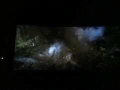 -汉阳天河电影城(王家湾店)