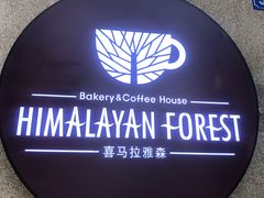 -喜马拉雅森HIMALAYAN FOREST