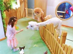 -藦茜花园宠物主题亲子互动体验馆(国顺东路店)