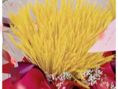 -阿娜尔·新疆菜(宜家荟聚中心店)