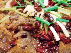 -老板恋上鱼(荣盛广场店)