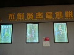 -不倒翁实景剧情密室逃脱(光明凤凰城站店)