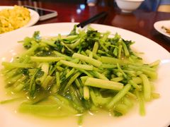 -山菜馆(竹海公园店)