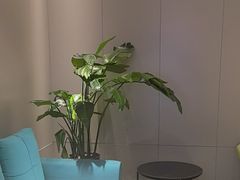 -东方威尼斯温泉酒店