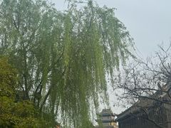 -霖公馆SPA·足道(普善路店)