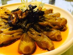 -圆苑(上海广场店)
