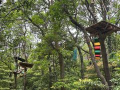 -大雁山风景区