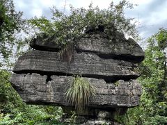 -梭布垭石林景区