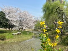 -堤角公园
