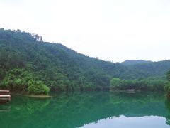 -鼎湖山风景区