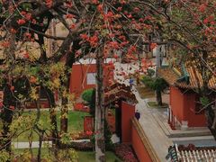 -东山湖公园