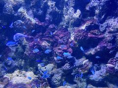 -大连老虎滩海洋公园
