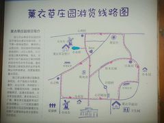 -曲江薰衣草庄园