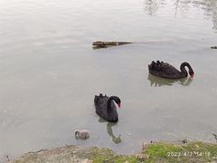 -上方山森林动物世界