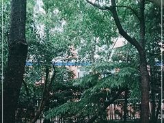 -上海市民办金苹果学校