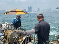 -日照世帆赛基地