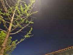 -粤珍轩.创始店.始于2001(含光门店)