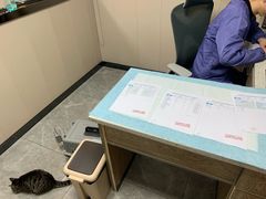 -半岛宠物医院24小时·内窥镜·牙科·碎石中心(府城大道店)