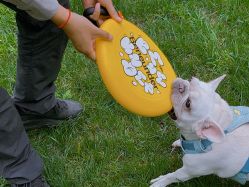 -禧园Joyous Garden ·宴会厅(禧园店)