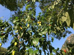 -碓臼峪自然风景区