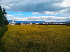 -大理洱海