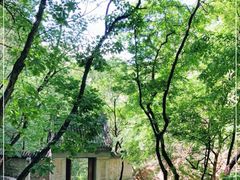 -北京上方山国家森林公园