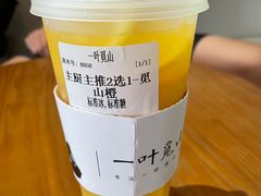 觅山橙-一叶觅山(半边街店)
