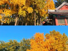 -沉浸北京·团建旅行·密室剧本杀·年会会议轰趴拓展