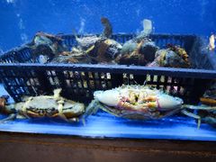 -白仁仔· 活烤海鲜 宵夜(豫园店)