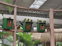 -南宫五洲植物乐园