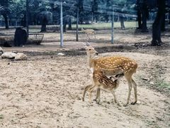 -西安秦岭野生动物园
