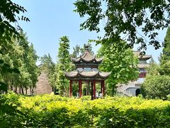 -洛阳白马寺
