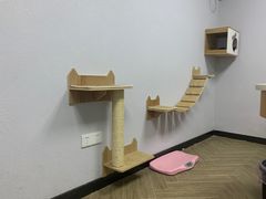 -联合动物医院(光谷诊疗中心)