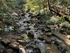 -江西阳明山国家森林公园