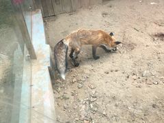 -无锡动物园·太湖欢乐园