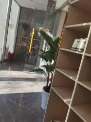 -酉嘉瑜伽YO+YOGA