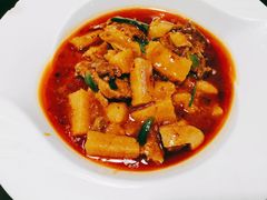 -陈麻婆豆腐总店